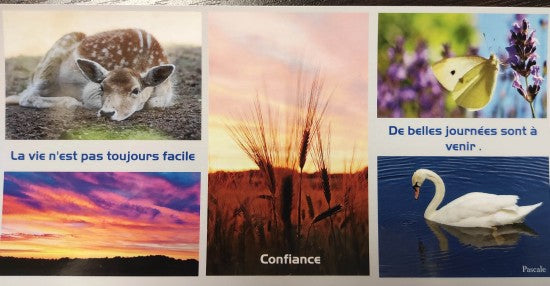 Carte postale Confiance