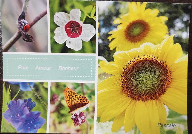 Carte postale Paix Amour Bonheur
