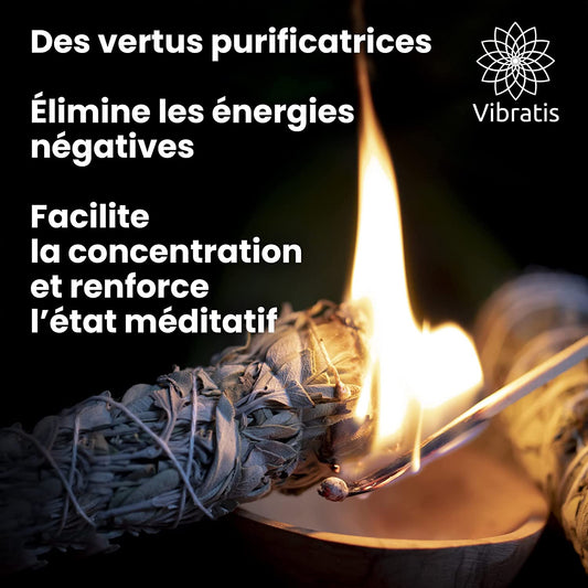 Bâtonnet de Sauge Blanche à Brûler pour Purification & Fumigation